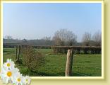 Reconnaisse_LeQuesnoy (2)